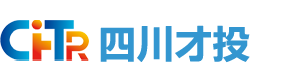 四川才投人力资源发展有限公司